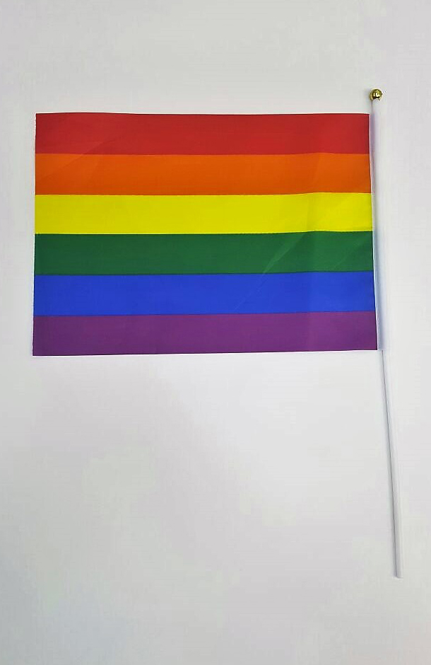 דגל גאווה עם ידית לבנה.
גודל הדגל: 20x30 ס