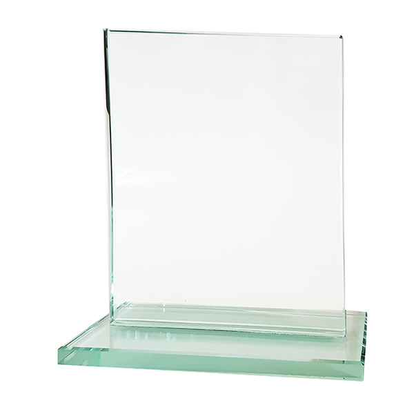 מגן הוקרה מלבני 17x12 ס