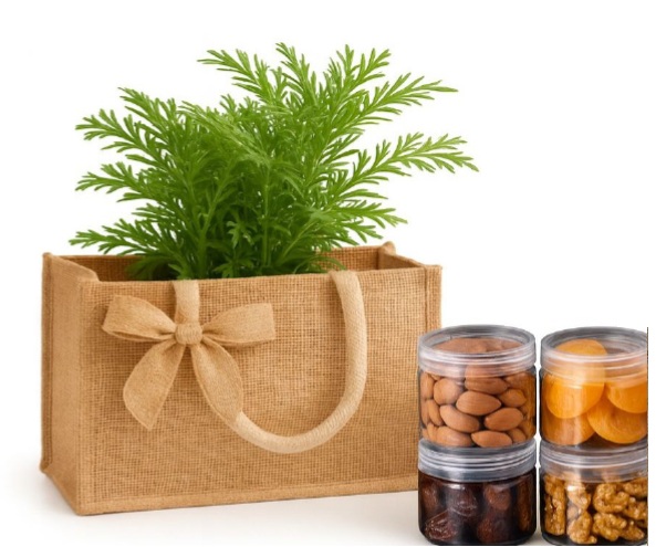 תיק יוטה עם 4 קופסאות רב פעמיות עם פירות יבשים (פירוט בתמונה) ועציץ תבלין. 