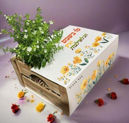 ארגז עץ בינוני דקורטיבי - 9 קופסאות רב פעמיות עם פירות  יבשים במשקל של כ 1.55 ק