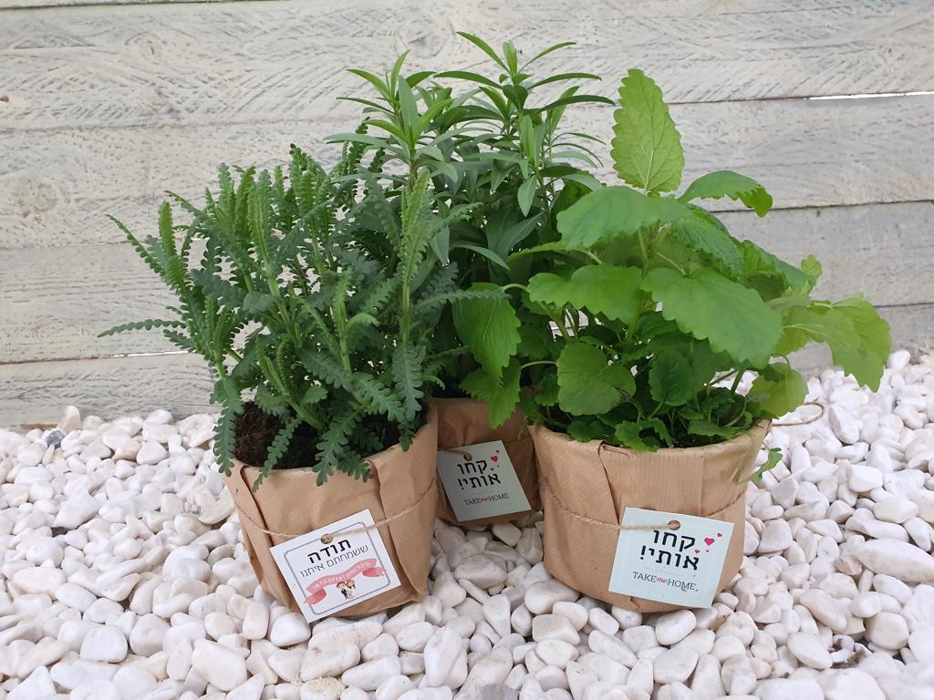 מיקס תבלינים באריזת נייר עיתון או בנייר חום (לבחירה) עם חבל קשירה ופתקית (פתקית לא כלול). 