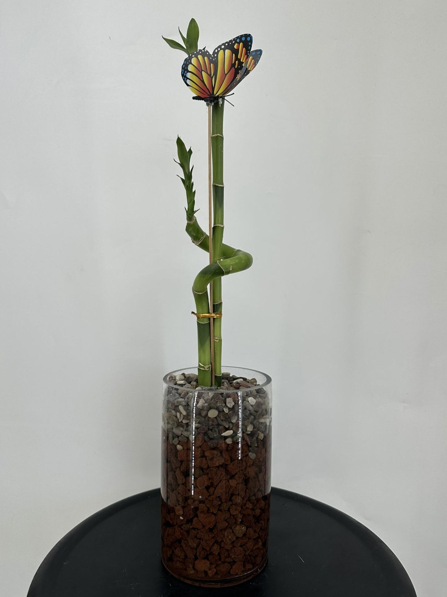 סידור לאקי במבוק צילינדר.