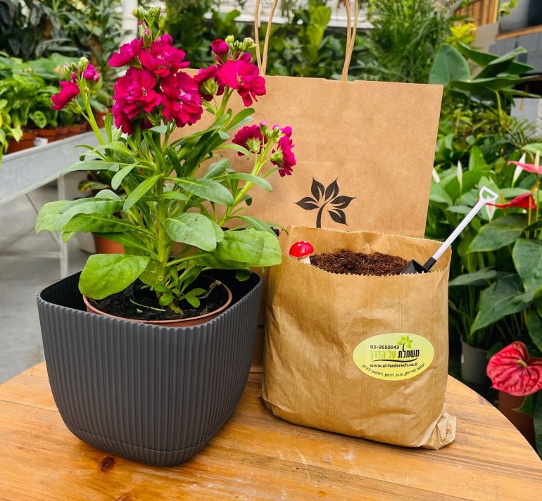 ערכת שתילה- 