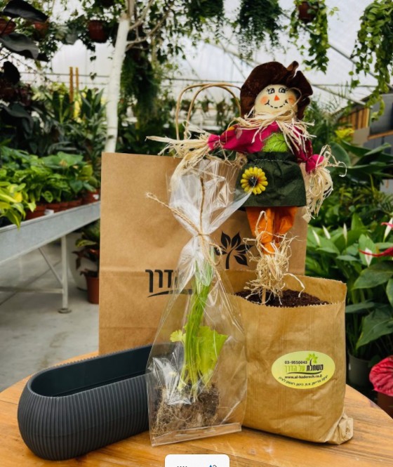 ערכת שתילה - 