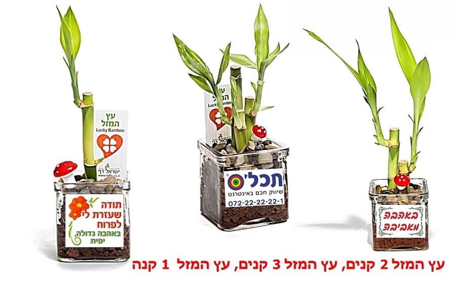 גיפטק מתנות ומוצרי פרסום