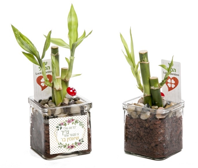 גיפטק מתנות ומוצרי פרסום