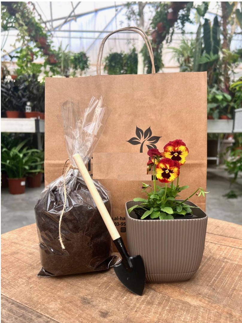 גיפטק מתנות ומוצרי פרסום