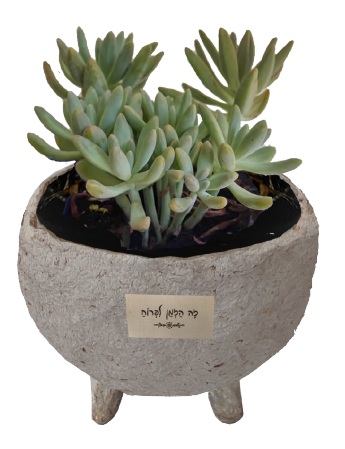 גיפטק מתנות ומוצרי פרסום