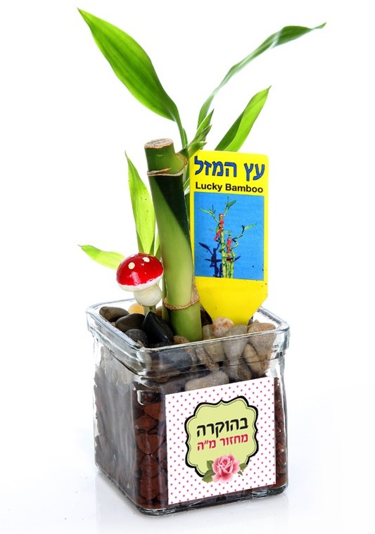 גיפטק מתנות ומוצרי פרסום