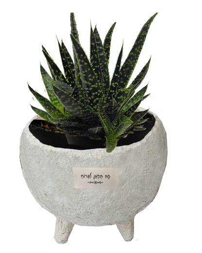 גיפטק מתנות ומוצרי פרסום